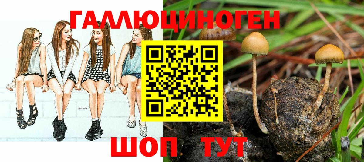 Каспийск  Галлюциногенные грибы MAGIC MUSHROOMS  Галлюциногенные грибы мухоморы  Вход с VPN 